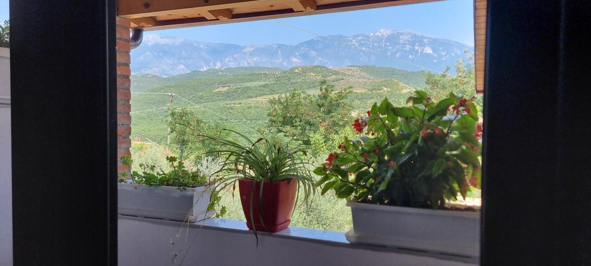 Salillari Guest House Berat Dış mekan fotoğraf