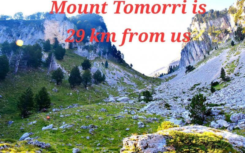Salillari Guest House Berat Dış mekan fotoğraf